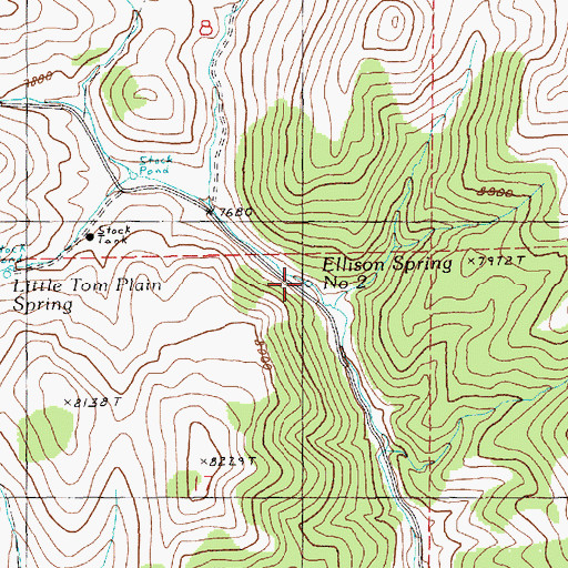 Topographic Map of Ellison Spring Number 2, NV