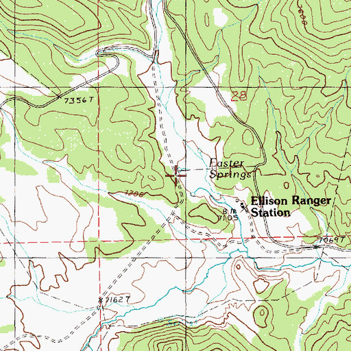 Topographic Map of Easter Springs, NV