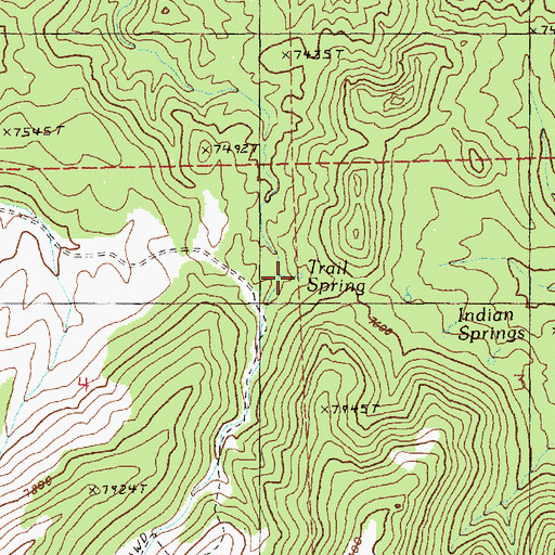 Topographic Map of Trail Spring, NV