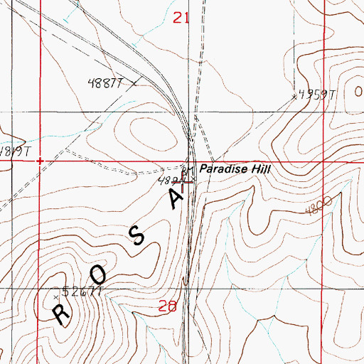 Topographic Map of Paradise Hill, NV