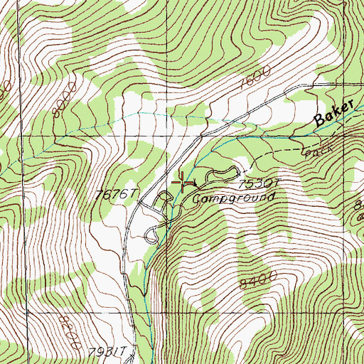 Topographic Map of Baker Creek Forest Service Recreation Site, NV