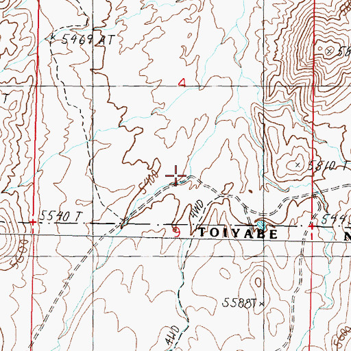 Topographic Map of Wellington Springs, NV