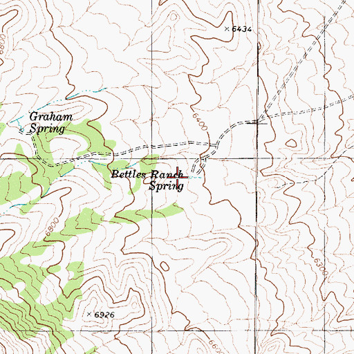 Topographic Map of Bettles Ranch Spring, NV
