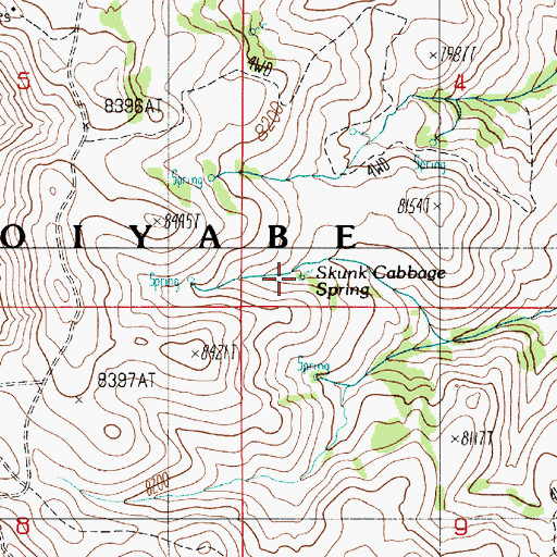 Topographic Map of Skunk Cabbage Spring, NV