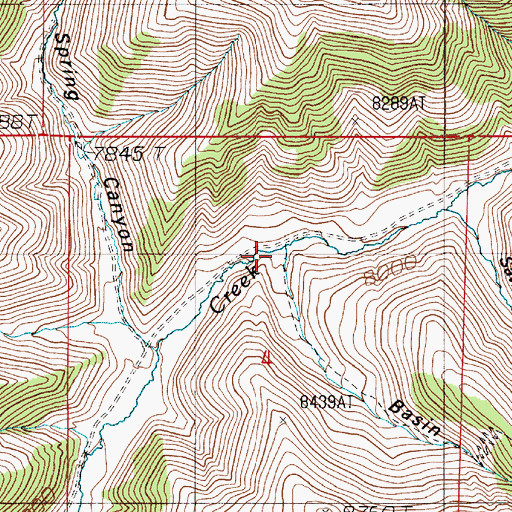 Topographic Map of Basin Canyon, NV