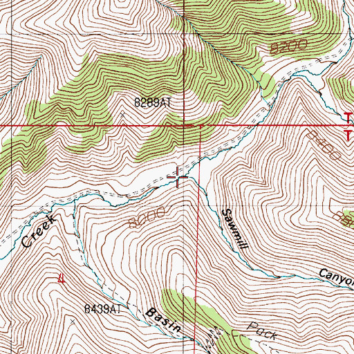 Topographic Map of Sawmill Canyon, NV
