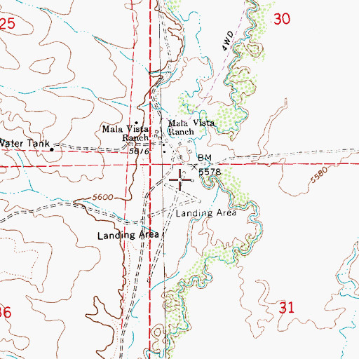 Topographic Map of Marys River Ranch Airport, NV