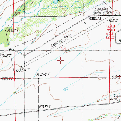 Topographic Map of Wild Horse Airport (historical), NV