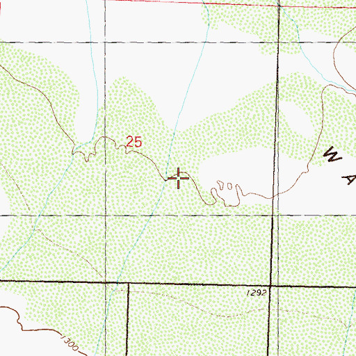 Topographic Map of Palomino Airport, NV