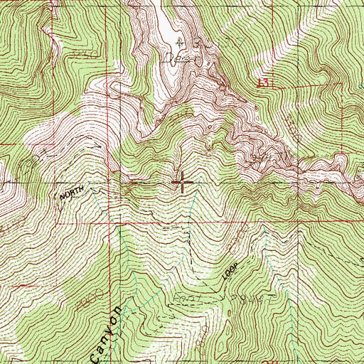 Topographic Map of Cave Spring, NV