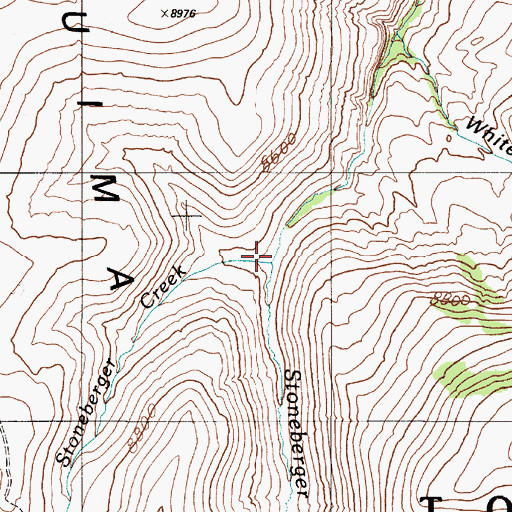 Topographic Map of Little Stoneberger Creek, NV