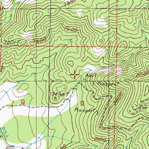 Topographic Map of Rock Cabin Spring, NV