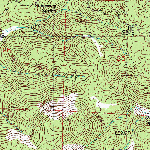 Topographic Map of Lost Spring, NV