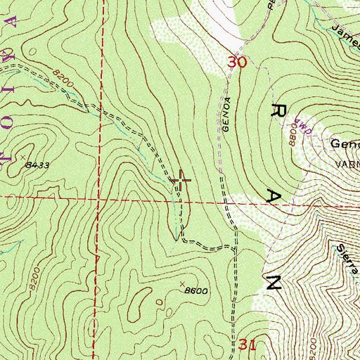 Topographic Map of Carson Ranger District, NV