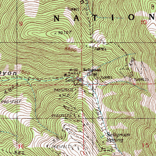 Topographic Map of Seligman Post Office (historical), NV