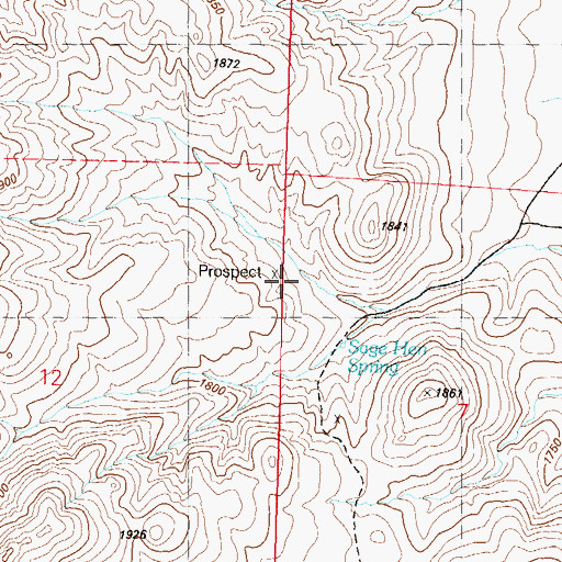 Topographic Map of Sage Hen Springs Mine, NV