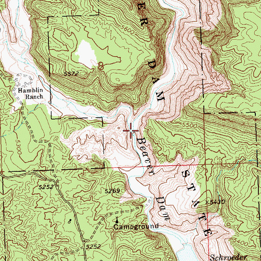 Topographic Map of East Fork Beaver Dam Wash, NV