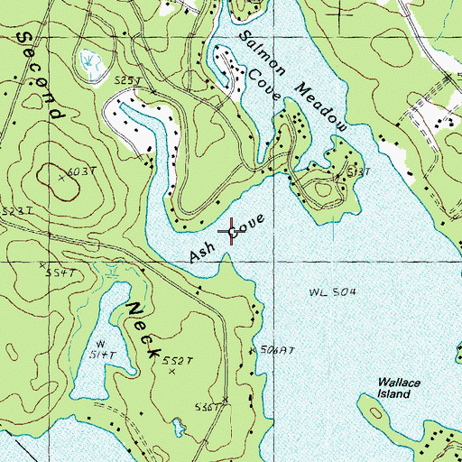 Topographic Map of Ash Cove, NH