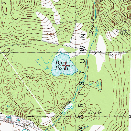 Topographic Map of Back Pond, NH