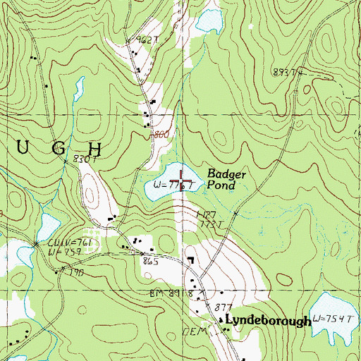 Topographic Map of Badger Pond, NH