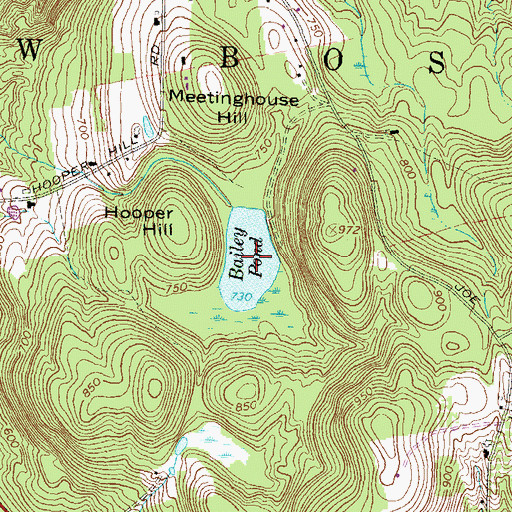 Topographic Map of Bailey Pond, NH