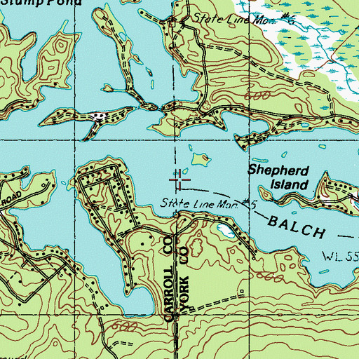 Topographic Map of Balch Pond, NH
