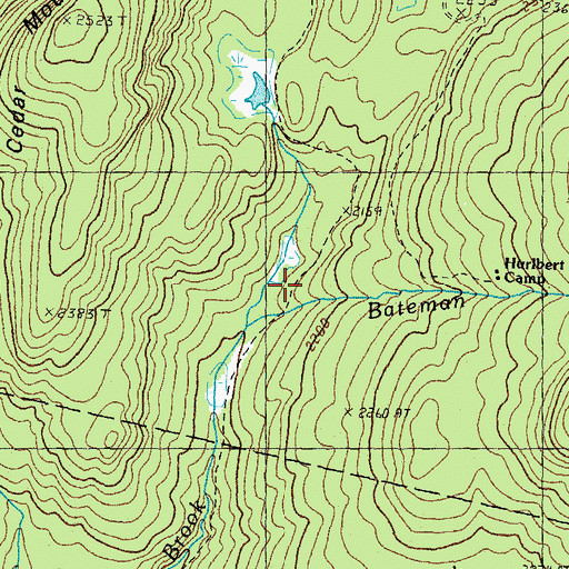 Topographic Map of Bateman Brook, NH