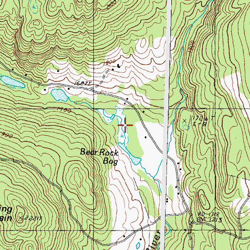 Topographic Map of Bear Rock Bog, NH