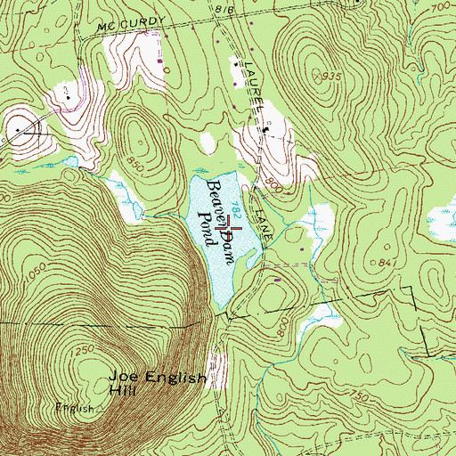 Topographic Map of Beaver Dam Pond, NH