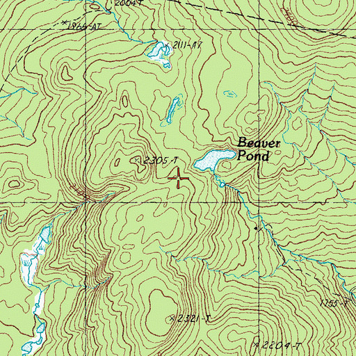 Topographic Map of Beaver Pond, NH