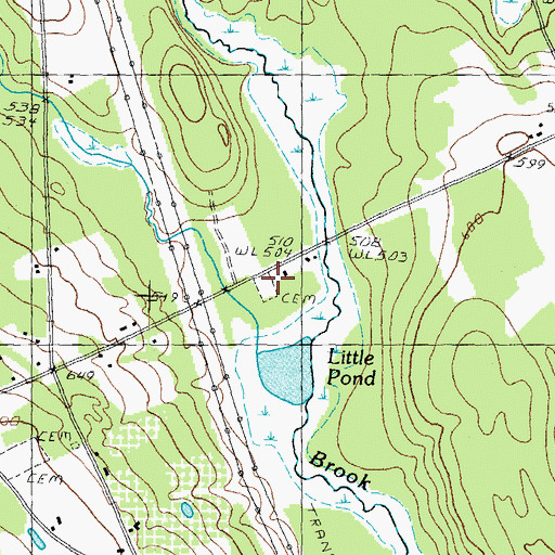 Topographic Map of Beaverdam Cemetery, NH