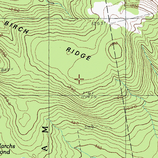 Topographic Map of Birch Ridge, NH
