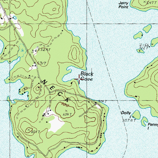 Topographic Map of Black Cove, NH