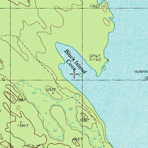 Topographic Map of Black Island Cove, NH