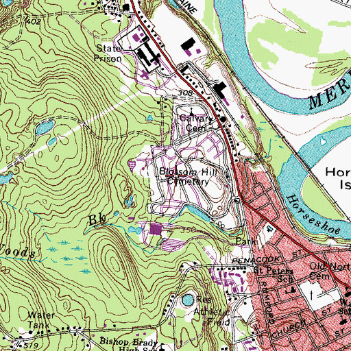 Topographic Map of Blossom Hill Cemetery, NH