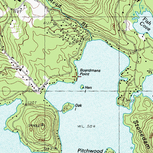 Topographic Map of Boardmans Point, NH