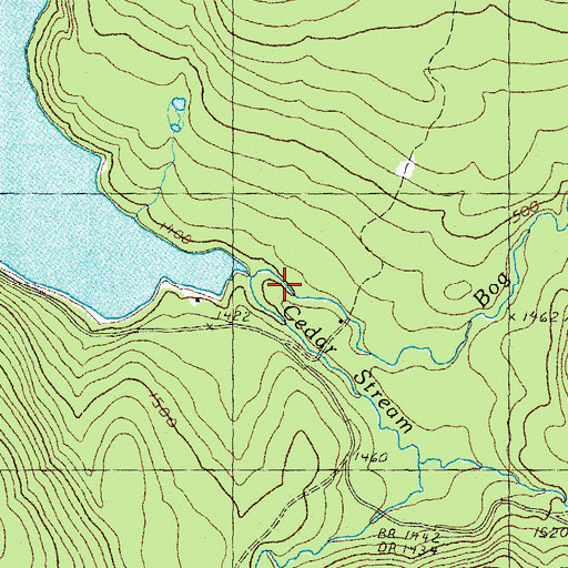 Topographic Map of Bog Branch, NH