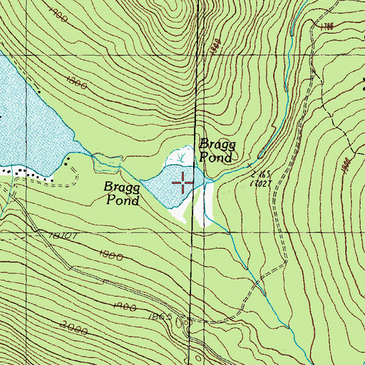 Topographic Map of Bragg Pond, NH