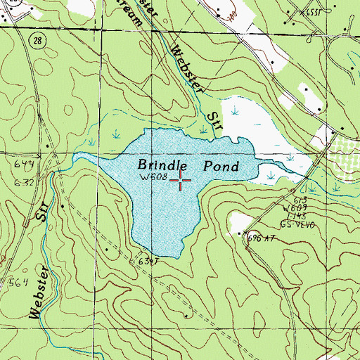 Topographic Map of Brindle Pond, NH