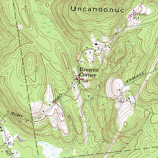 Topographic Map of Browns Corner, NH