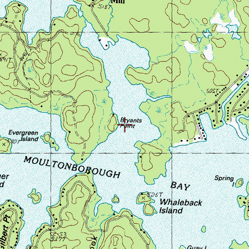 Topographic Map of Bryants Point, NH