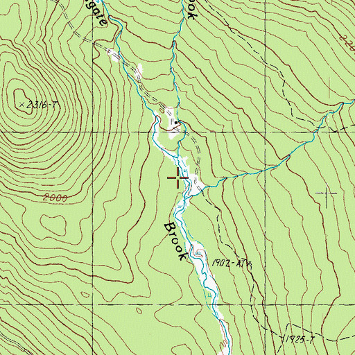 Topographic Map of Buckhorn Brook, NH