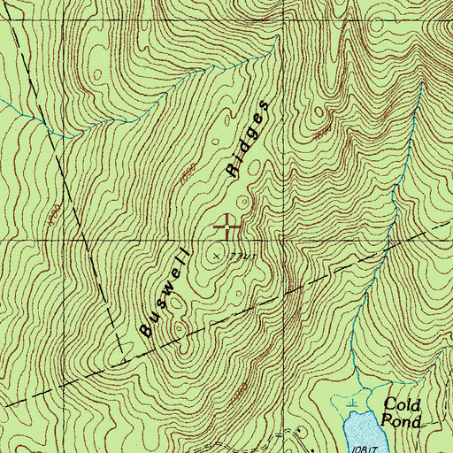 Topographic Map of Buswell Ridges, NH