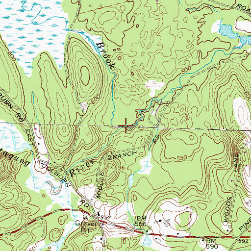 Topographic Map of Buxton Brook, NH