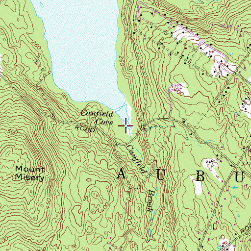 Topographic Map of Canfield Brook, NH
