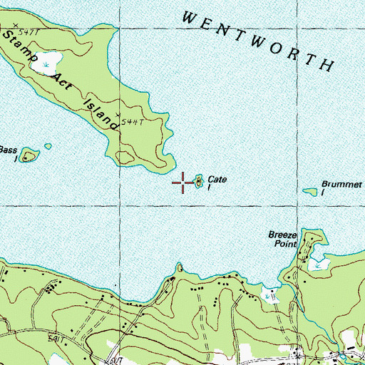 Topographic Map of Cate Island, NH