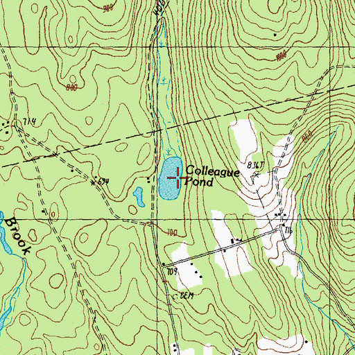 Topographic Map of Colleague Pond, NH