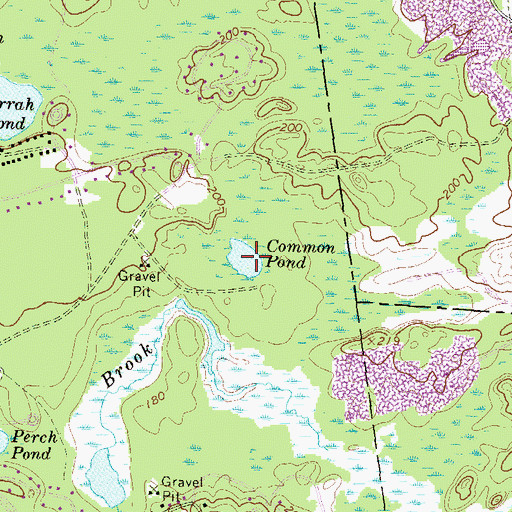Topographic Map of Common Pond, NH