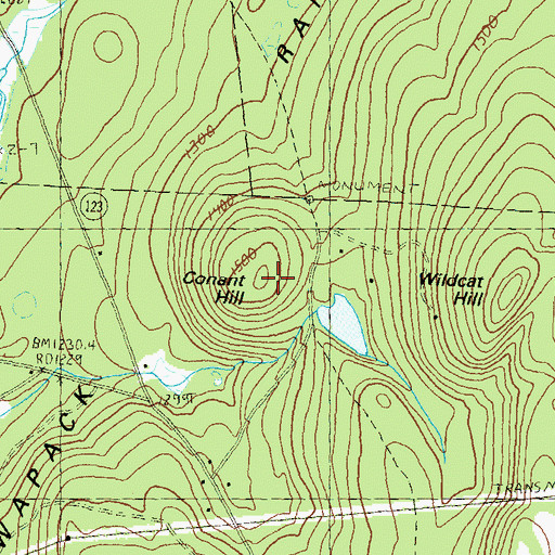 Topographic Map of Conant Hill, NH