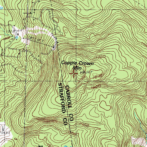Topographic Map of Copple Crown Mountain, NH